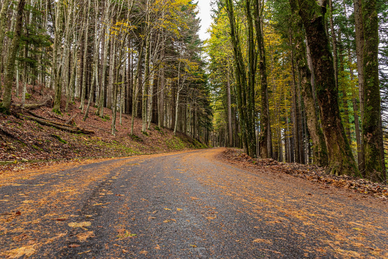 extraBo: Foliage Tour -> trekking tra i colori dell'autunno